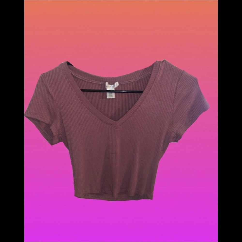 Ribbed short sleeve blush pink deep Vneck crop top